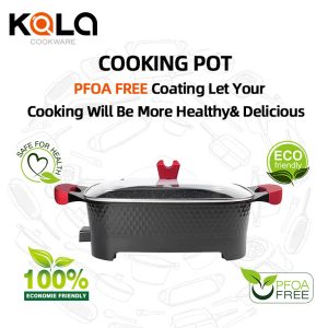 KALA KA-2019 38*32cm 10L Multipurpose Electric Multicooker