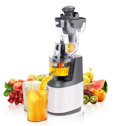Sokany Cold Press Fruit Slow Juicer & Food Mixer Extractor JE-32